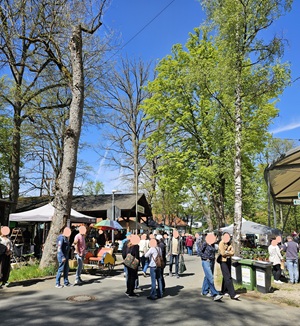 A lively outdoor market scene with people walking and browsing stalls under tall trees, some with leaves and some bare. Tents and tables are set up alongside a paved path on a sunny day.