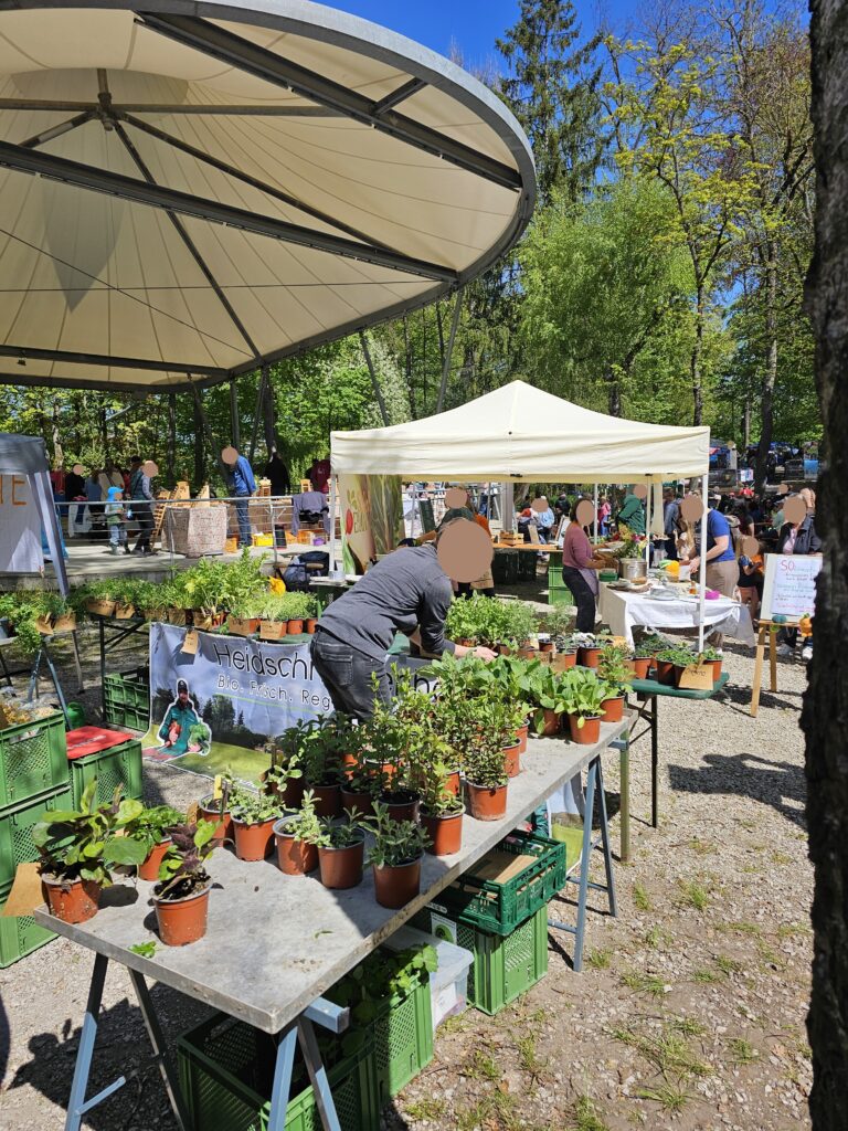 Outdoor market with potted plants on tables, people browsing under tents, and a bandstand in the background, all surrounded by trees on a sunny day.